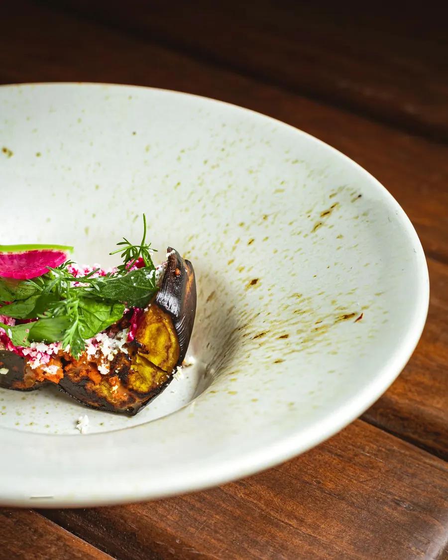 Roasted aubergine with fresh herbs on a ceramic plate